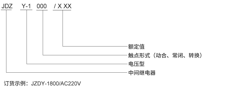 JDZY-1004型號(hào)及其含義